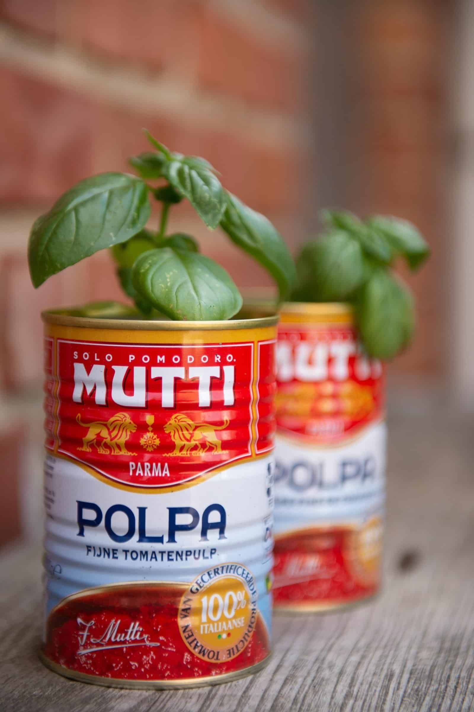 can tomato paste