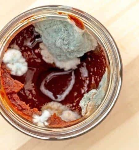 canned tomato paste go bad